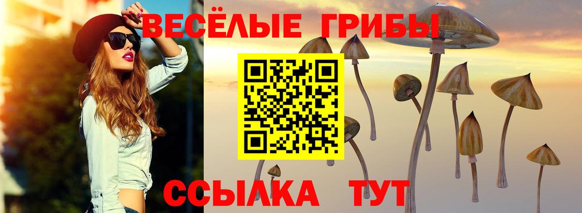 Псилоцибиновые грибы Magic Shrooms Пенза